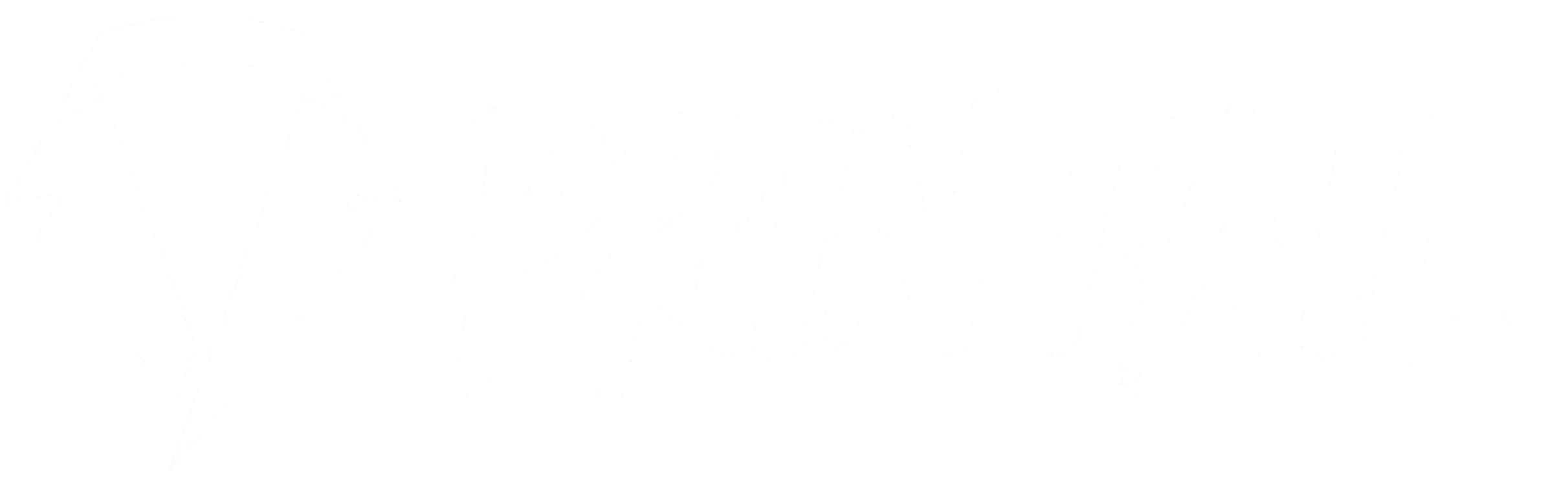 Printail